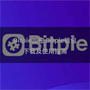 Bitpie加密 Bitpie钱包下载及使用指南