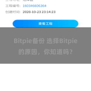 Bitpie备份 选择Bitpie的原因，你知道吗？