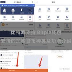 比特派支持 Bitpie钱包支持的加密货币种类及功能介绍