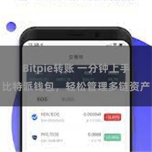 Bitpie转账 一分钟上手比特派钱包，轻松管理多链资产