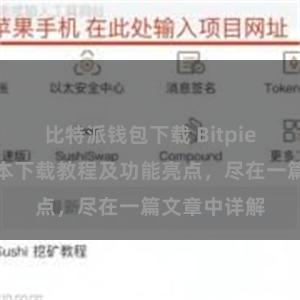 比特派钱包下载 Bitpie钱包最新版本下载教程及功能亮点，尽在一篇文章中详解