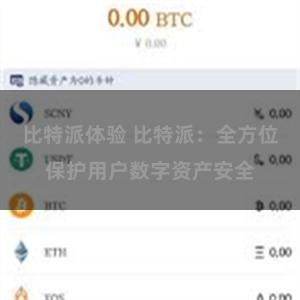 比特派体验 比特派：全方位保护用户数字资产安全