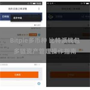 Bitpie多币种 比特派钱包多链资产管理操作指南