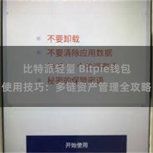 比特派轻量 Bitpie钱包使用技巧：多链资产管理全攻略