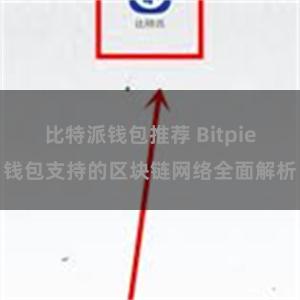 比特派钱包推荐 Bitpie钱包支持的区块链网络全面解析