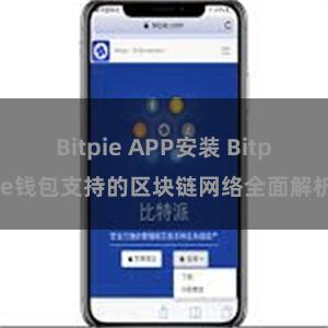 Bitpie APP安装 Bitpie钱包支持的区块链网络全面解析