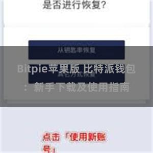 Bitpie苹果版 比特派钱包：新手下载及使用指南