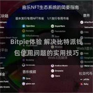 Bitpie体验 解决比特派钱包使用问题的实用技巧