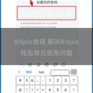 Bitpie教程 解决Bitpie钱包常见使用问题