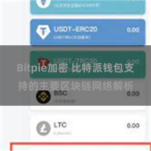 Bitpie加密 比特派钱包支持的主要区块链网络解析