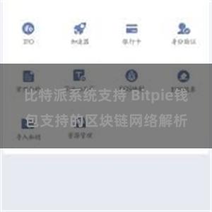 比特派系统支持 Bitpie钱包支持的区块链网络解析