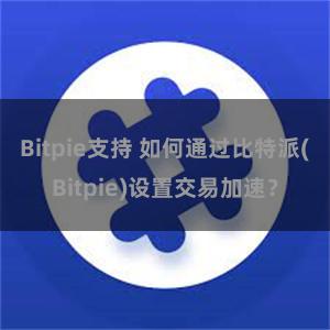 Bitpie支持 如何通过比特派(Bitpie)设置交易加速？