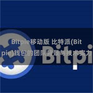 Bitpie移动版 比特派(Bitpie)钱包的团队背景与技术实力