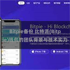 Bitpie备份 比特派(Bitpie)钱包的团队背景与技术实力