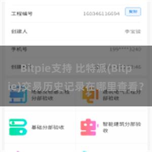 Bitpie支持 比特派(Bitpie)交易历史记录在哪里查看？