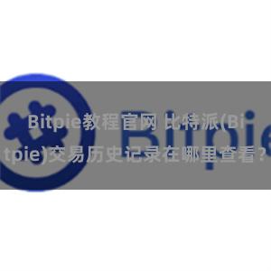 Bitpie教程官网 比特派(Bitpie)交易历史记录在哪里查看？