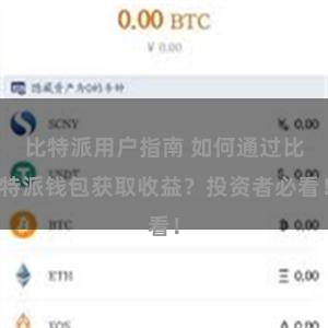 比特派用户指南 如何通过比特派钱包获取收益？投资者必看！