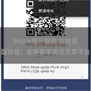 Bitpie用户指南 比特派国际版：全球数字货币交易平台