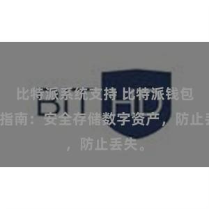 比特派系统支持 比特派钱包备份指南：安全存储数字资产，防止丢失。