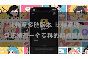 比特派多链版本  比特派钱包还领有一个专科的期间团队