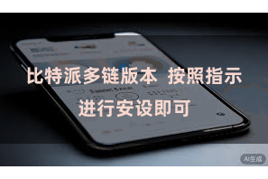 比特派多链版本  按照指示进行安设即可